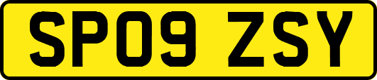 SP09ZSY