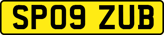 SP09ZUB