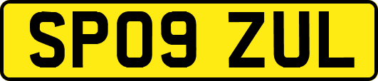 SP09ZUL