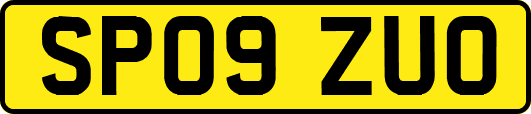 SP09ZUO