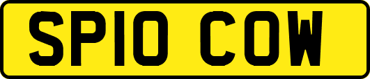 SP10COW