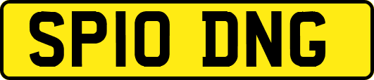 SP10DNG