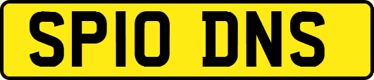 SP10DNS