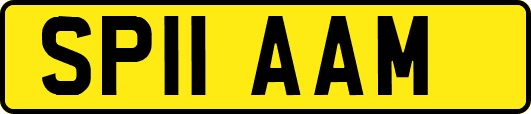 SP11AAM