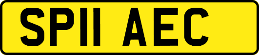 SP11AEC