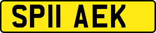 SP11AEK