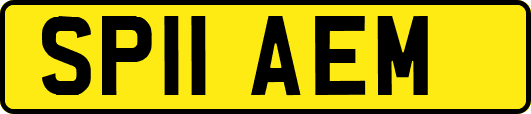 SP11AEM