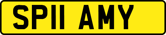 SP11AMY