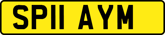SP11AYM