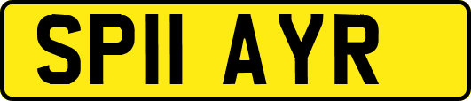 SP11AYR