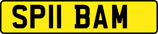 SP11BAM