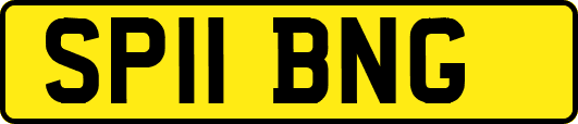 SP11BNG