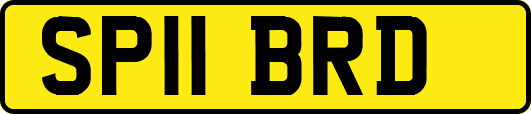 SP11BRD
