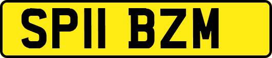 SP11BZM