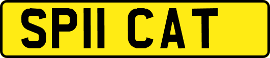 SP11CAT