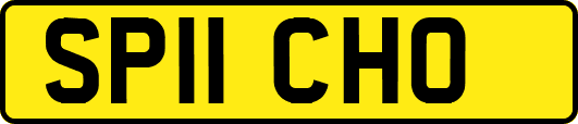 SP11CHO