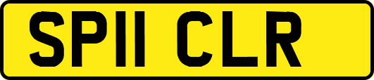 SP11CLR