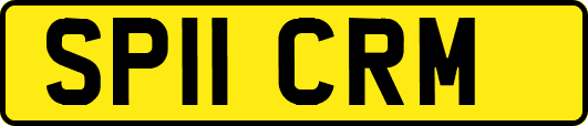 SP11CRM