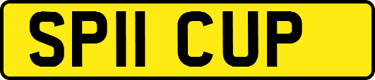 SP11CUP
