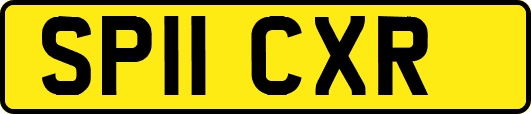 SP11CXR
