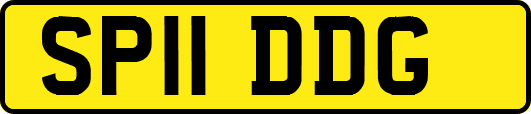 SP11DDG