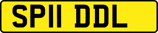 SP11DDL