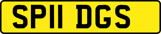SP11DGS