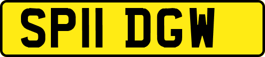 SP11DGW