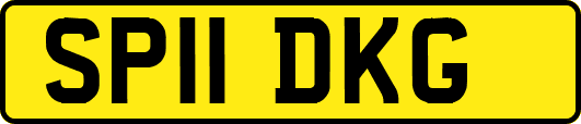 SP11DKG