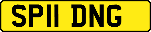 SP11DNG