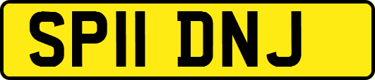 SP11DNJ