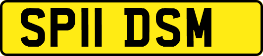 SP11DSM