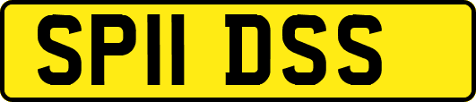 SP11DSS