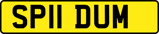 SP11DUM
