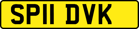 SP11DVK