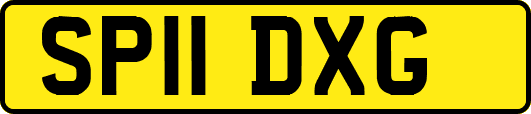SP11DXG
