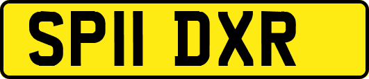 SP11DXR