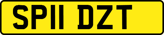 SP11DZT