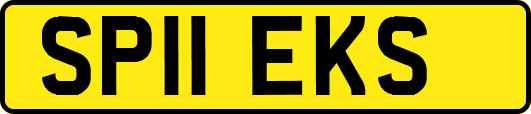 SP11EKS