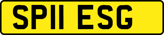 SP11ESG
