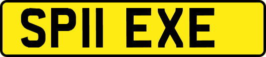 SP11EXE