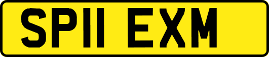 SP11EXM