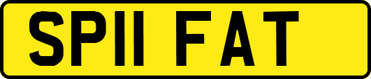 SP11FAT