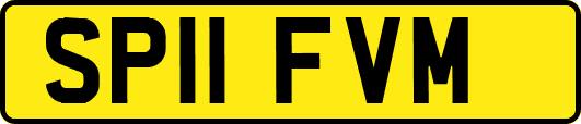 SP11FVM