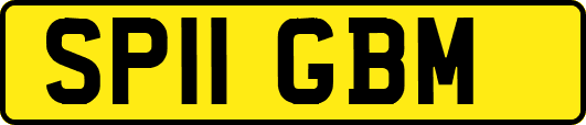 SP11GBM
