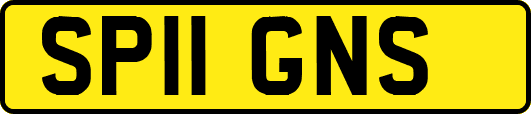 SP11GNS
