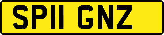 SP11GNZ