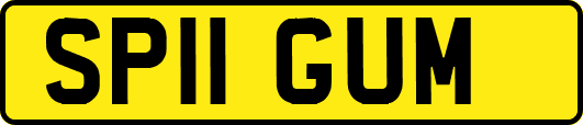 SP11GUM