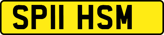 SP11HSM