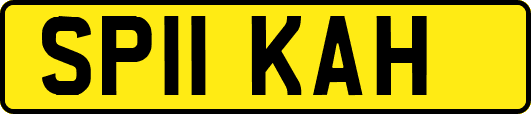 SP11KAH